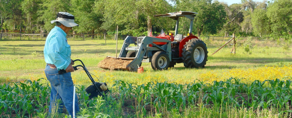 Gardening Ergonomics physio clinic Mississauga